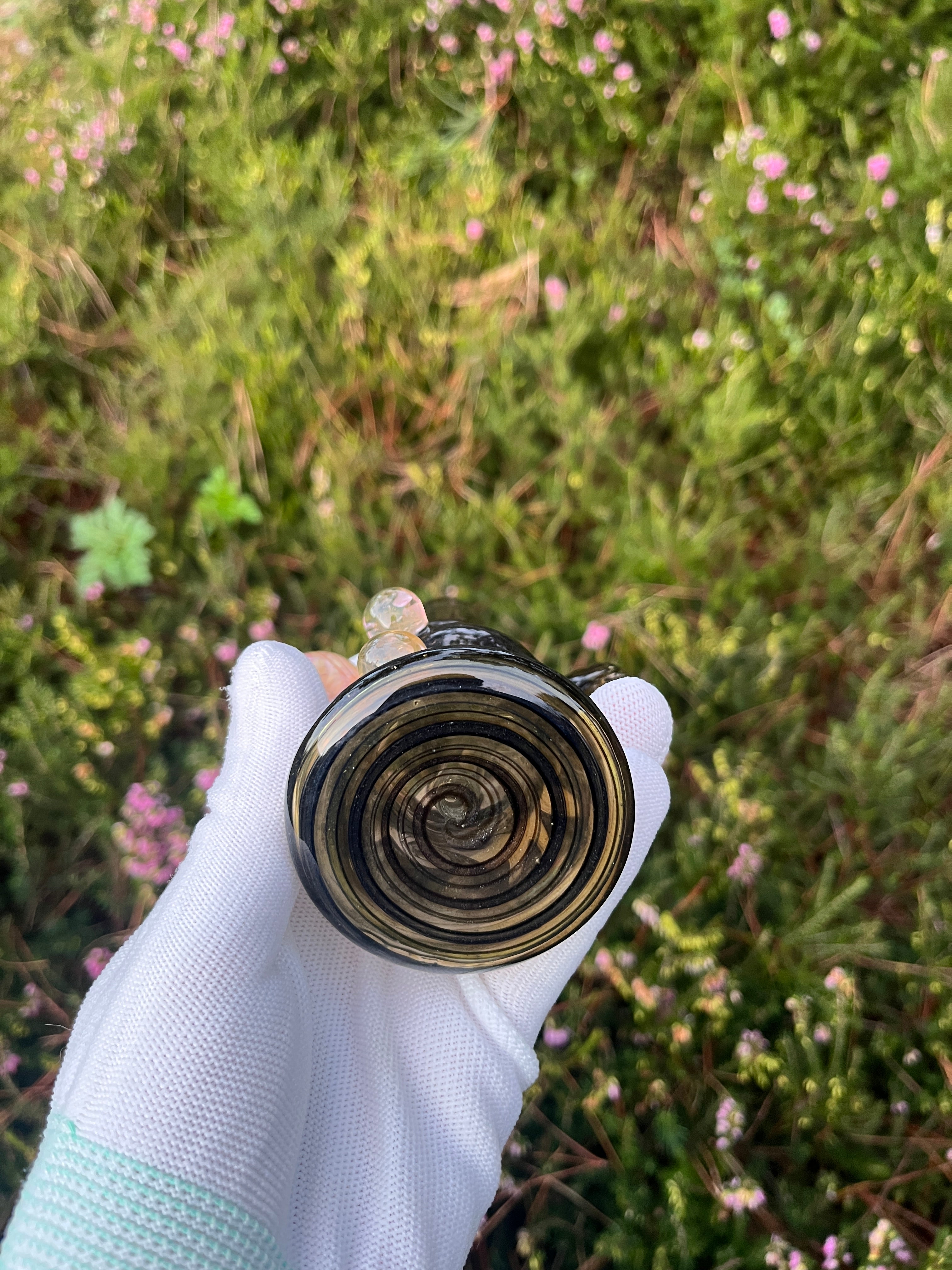 The Guy Next Door By Sneesby Glass