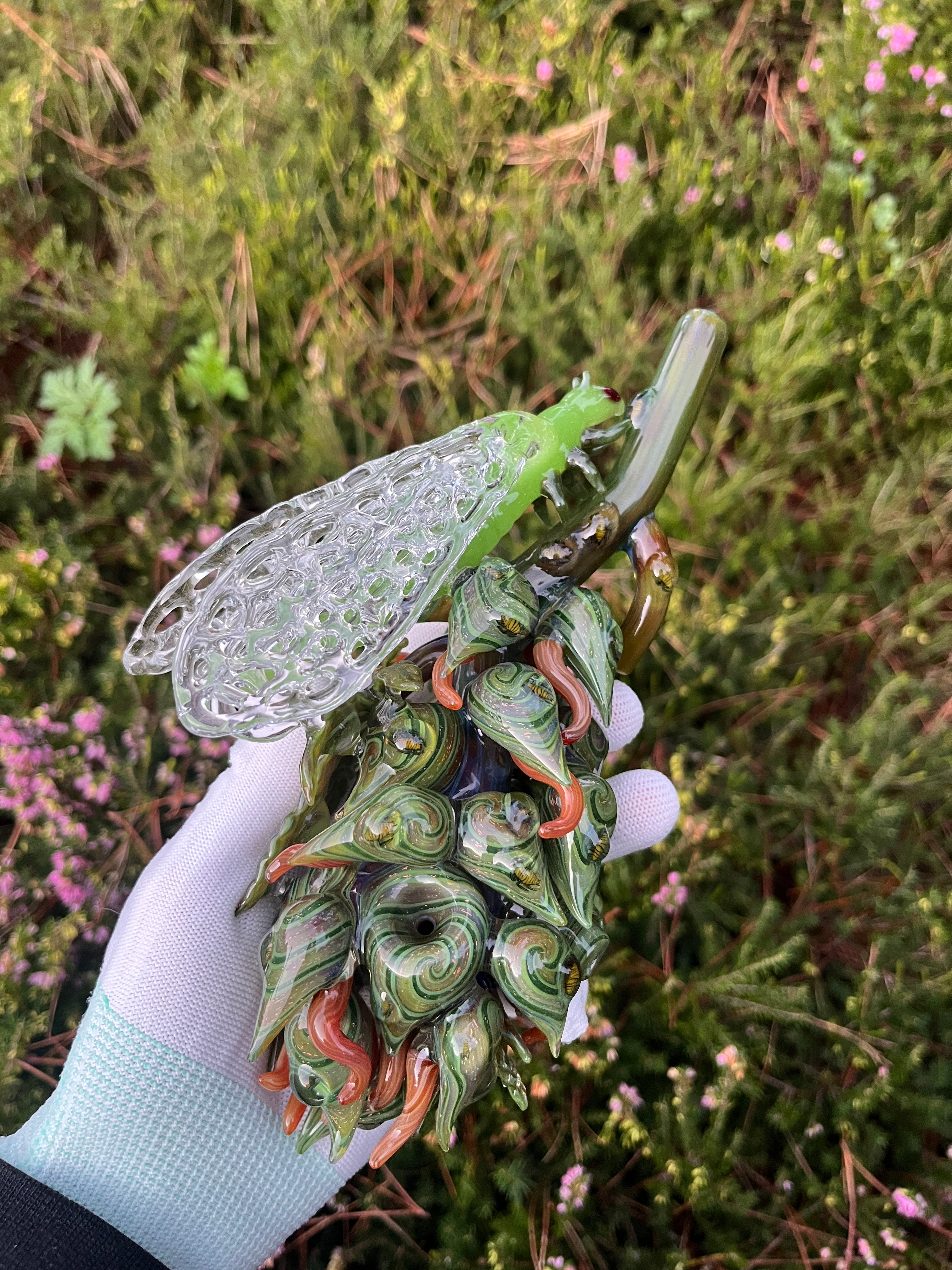 Cicada Nug By Mr. Gray and W.C. Stearns