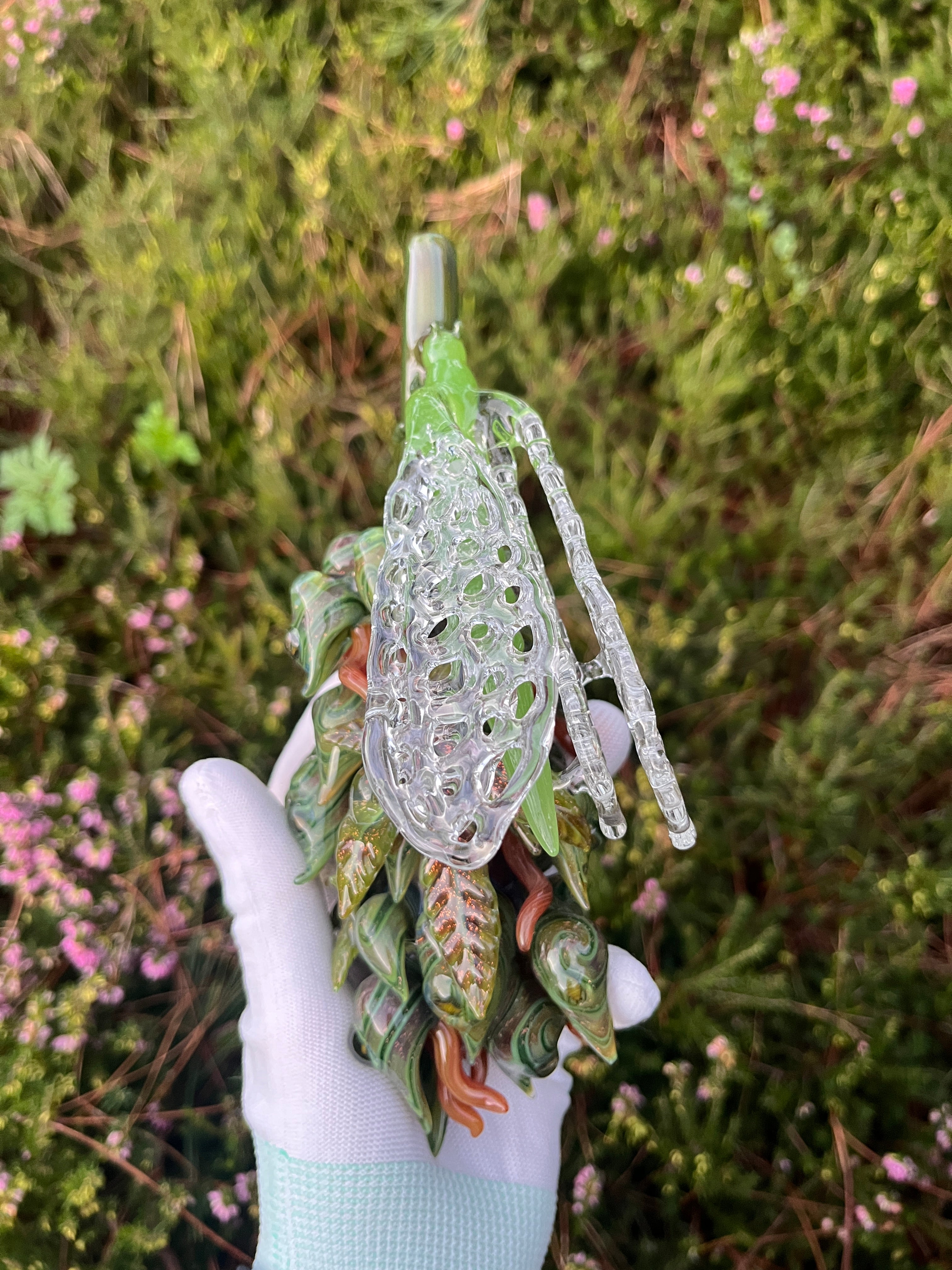 Cicada Nug By Mr. Gray and W.C. Stearns