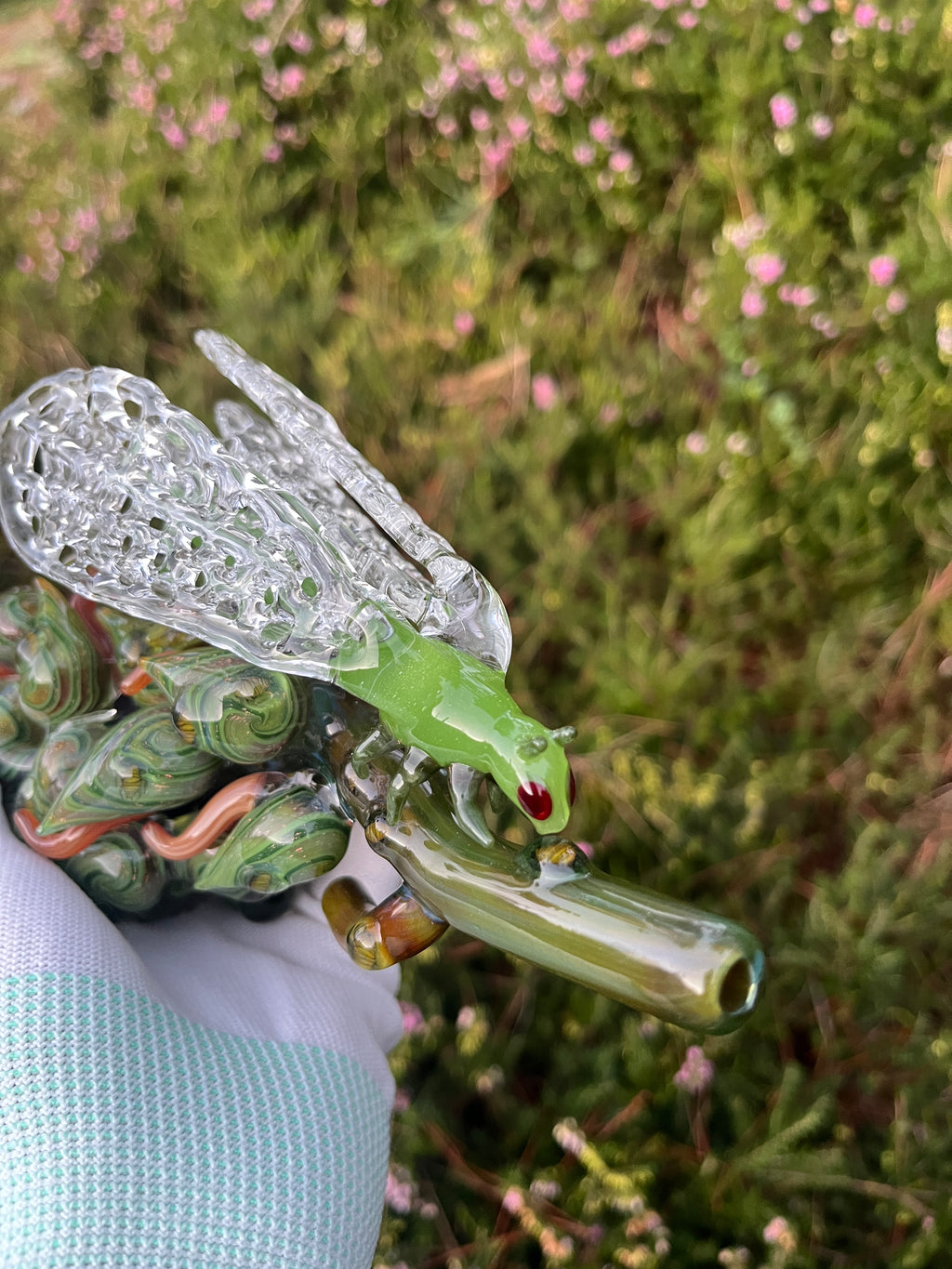 Cicada Nug By Mr. Gray and W.C. Stearns