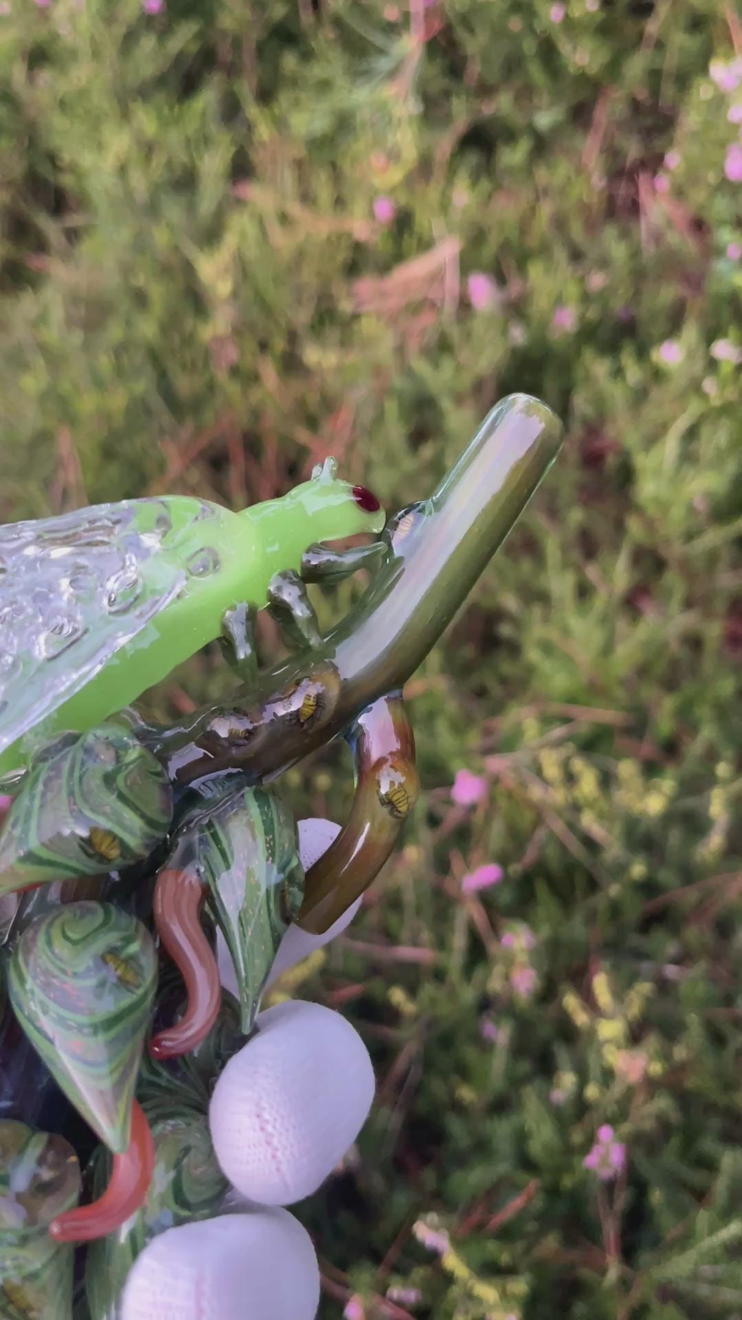 Cicada Nug By Mr. Gray and W.C. Stearns